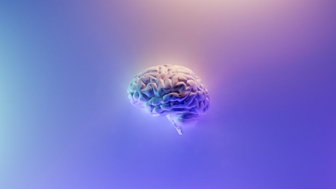 Hvad er hjernegymnastik og hvorfor er det vigtigt for din hjerne?